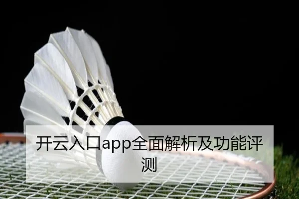 开云入口app全面解析及功能评测