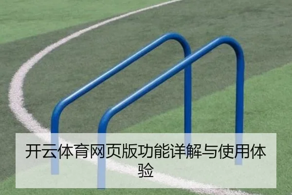 开云体育网页版功能详解与使用体验
