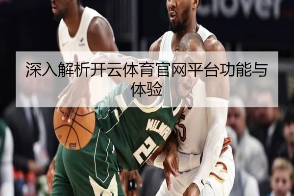 深入解析开云体育官网平台功能与体验